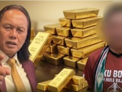 AS Cukong Emas dan Bauksit Ilegal Kian Terpojok, Serangan ke Media Jadi Bumerang