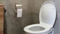 "Sering menunda buang air besar karena sibuk atau toilet kotor? Ketahui 5 bahaya sering menahan BAB, mulai dari sembelit hingga wasir."