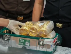 DJBC Gagalkan Penyelundupan Ekspor Ilegal 190 Kg Emas di Bandara Halim