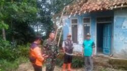 Petugas gabungan dari BPBD bersama warga setempat bergotong royong membersihkan material pohon tumbang yang menimpa permukiman pascacuaca ekstrem melanda Cilacap.