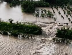 Tanggul Sungai Tuntang Jebol, 2.839 Warga Demak Terpaksa Mengungsi