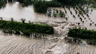 Kondisi permukiman warga yang terendam luapan Sungai Tuntang akibat curah hujan tinggi dan jebolnya sejumlah tanggul di Kabupaten Demak, Jawa Tengah.