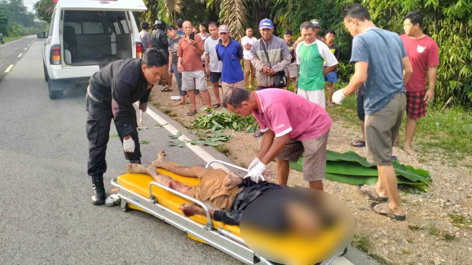 Suasana evakuasi korban kecelakaan lalu lintas pejalan kaki yang tewas di kawasan Jalan Raya Bodok-Sosok Kecamatan Parindu Kabupaten Sanggau.