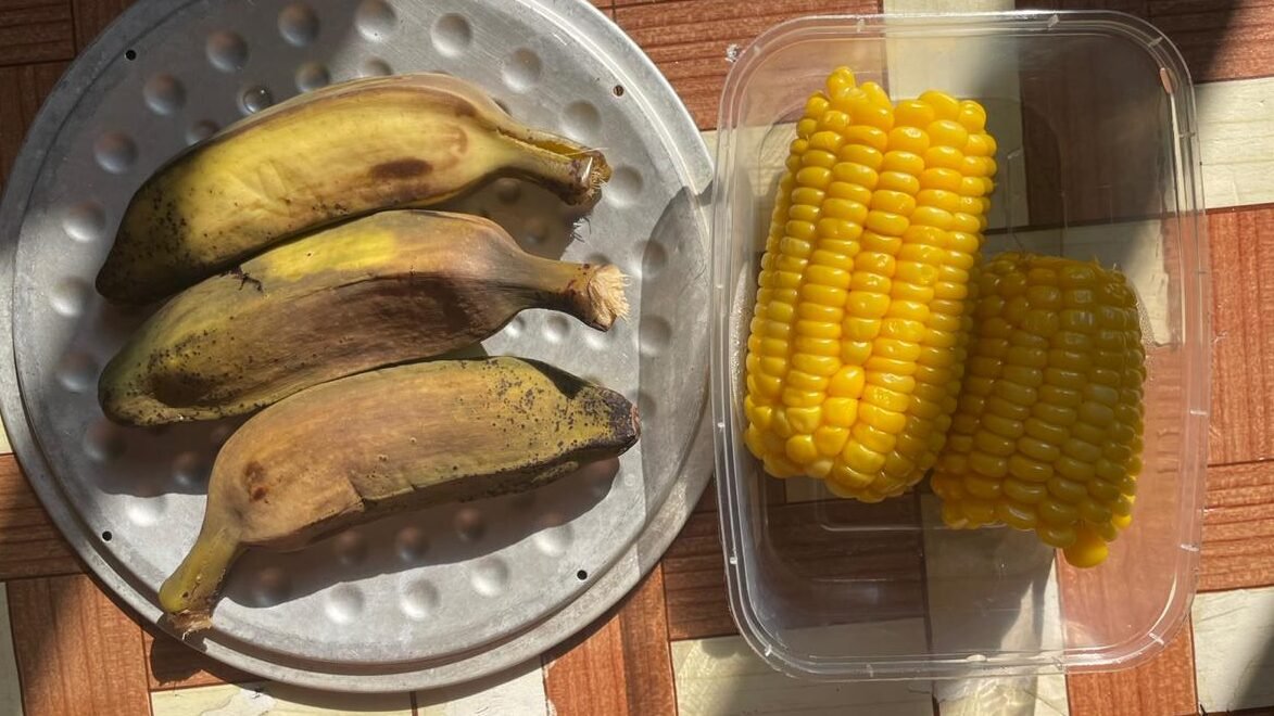 "Mengganti kebiasaan sarapan gorengan dengan pisang dan jagung rebus ternyata membawa perubahan luar biasa bagi energi, pencernaan, hingga kesehatan kulitmu. "