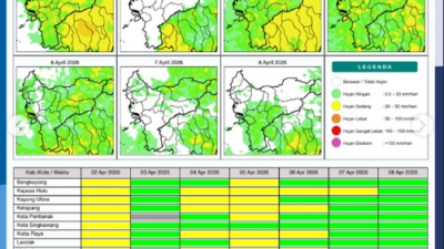 Grafis infografik peta potensi curah hujan harian di wilayah Kalimantan Barat periode 2 hingga 8 April 2026