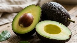 Ilustrasi - Bingung mau tanam alpukat jenis apa? Cek 7 rekomendasi alpukat unggul yang paling dicari pasar saat ini, mulai dari varietas mentega hingga aligator. (Dok. Ist)