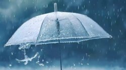 Ilustrasi - Sering kesal saat hujan turun? Cari tahu deretan manfaat ajaib hujan bagi keseimbangan alam, sumber air bersih, hingga kesehatan mental manusia. (Dok. Ist)