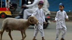 Ilustrasi - Pemerintah resmi menetapkan libur nasional dan cuti bersama Idul Adha 2026. Cek rincian tanggal merah bulan Mei untuk rencana libur panjang Anda di sini. (Dok. Ist)