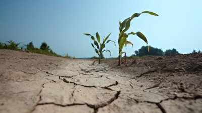 Ilustrasi - Jangan salah kaprah! Simak penjelasan BMKG mengenai perbedaan mendasar antara musim kemarau tahunan dan anomali El Nino serta tips menghadapinya. (Dok. Ist)