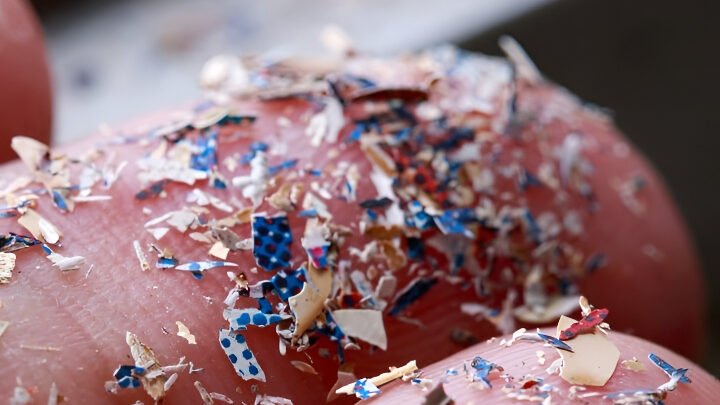 Ilustrasi - Penelitian mengungkap apel, wortel, dan brokoli mengandung mikroplastik tertinggi. Simak daftar sayur dan buah yang tercemar serta cara melindunginya di sini. (Dok. Ist)