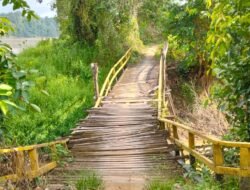 Jembatan Penghubung Antar Dusun di Sanggau Nyaris Roboh, Warga Khawatir Timbulkan Korban