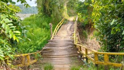 "Jembatan utama penghubung Kampung Sepona dan Menjaya di Desa Inggis, Sanggau kondisinya nyaris roboh. Warga mendesak pemerintah segera melakukan perbaikan. "