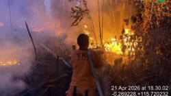 Petugas kebencanaan dari Badan Penanggulangan Bencana Daerah saat melakukan upaya pemadaman area lahan perkebunan warga yang terbakar di kawasan Kutai Barat.