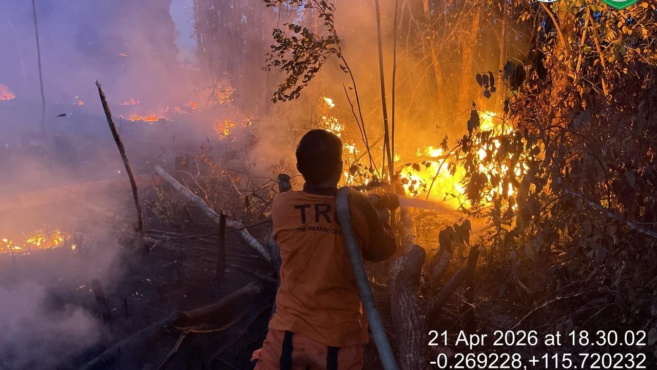 Petugas kebencanaan dari Badan Penanggulangan Bencana Daerah saat melakukan upaya pemadaman area lahan perkebunan warga yang terbakar di kawasan Kutai Barat.