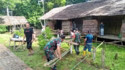 Personel Koramil 1209-07/Jgb bersama masyarakat adat saat bergotong royong memperbaiki struktur bangunan Rumah Betang di Dusun Jagoi Babang.