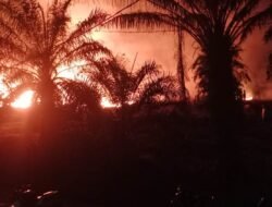 Kebakaran Lahan di Meliau Hanguskan 0,2 Hektare Area Ilalang, Polisi Ungkap Pemicunya