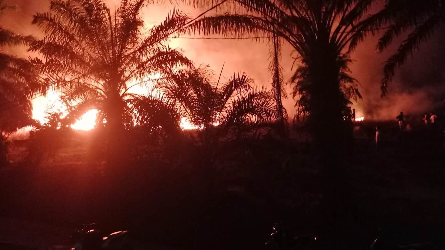 Kobaran api yang membakar area ilalang di kawasan Kuburan Cina, Dusun Meliau Hulu.