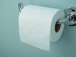 Tim Tisu vs Tim Air: Ini Alasan Ilmiah Kenapa Orang Barat Terbiasa Cebok Tanpa Air