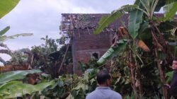 Tim gabungan dari BPBD dan warga sekitar bergotong royong membersihkan material pohon tumbang yang menimpa bangunan akibat terjangan angin kencang.