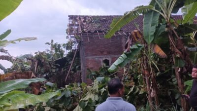 Tim gabungan dari BPBD dan warga sekitar bergotong royong membersihkan material pohon tumbang yang menimpa bangunan akibat terjangan angin kencang.
