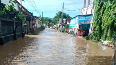 Wilayah terdampak banjir di Kabupaten Jembrana, Provinsi Bali, Minggu (5/4). (Dok. BPBD Kabupaten Jembrana)