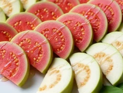 Lebih Baik Jambu Biji Merah atau Putih? Ketahui Perbedaan dan Manfaatnya di Sini