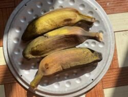 Lebih Sehat dari Versi Goreng, Ini 5 Manfaat Pisang Rebus Bagi Tubuh