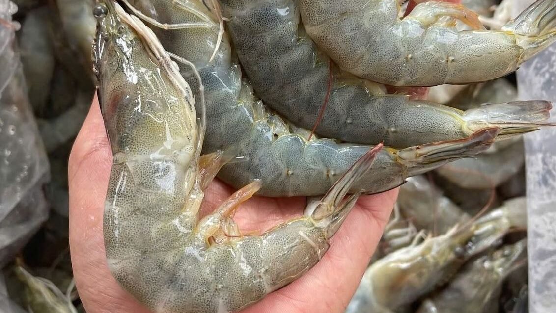 "Jangan ragu makan hidangan laut yang satu ini. Simak beragam manfaat mengonsumsi udang bagi kesehatan tubuh, mulai dari menjaga jantung hingga menutrisi otak."