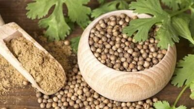 "Jangan anggap remeh bumbu dapur ini! Ketahui 5 manfaat ketumbar bagi kesehatan tubuh, mulai dari mengontrol gula darah hingga menjaga kesehatan jantung."