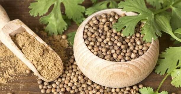 "Jangan anggap remeh bumbu dapur ini! Ketahui 5 manfaat ketumbar bagi kesehatan tubuh, mulai dari mengontrol gula darah hingga menjaga kesehatan jantung."