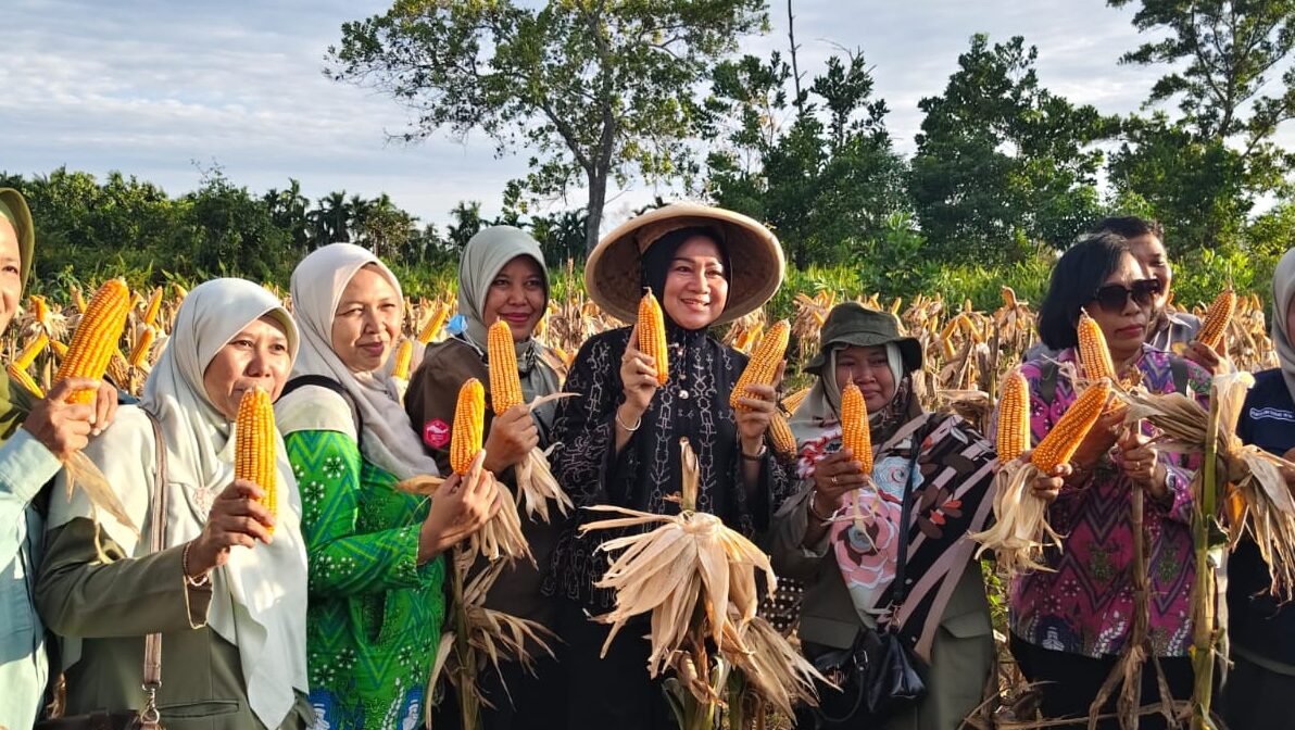 "Lahan kosong milik PCNU Kubu Raya di Desa Kuala Dua berhasil disulap menjadi kebun jagung produktif. Inisiatif ini menjadi contoh nyata kolaborasi lintas sektor dalam menjaga ketahanan pangan daerah."
