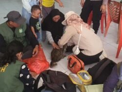 Buntut Kasus Gigitan Anjing, Disbunnak Sanggau Gelar Vaksinasi Rabies di Entikong