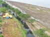 Belajar dari Tsunami 2004, Wali Kota Banda Aceh Dorong Mitigasi Bencana Berbasis Vegetasi