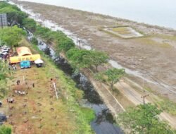 Belajar dari Tsunami 2004, Wali Kota Banda Aceh Dorong Mitigasi Bencana Berbasis Vegetasi