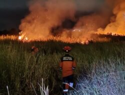 Update Data Bencana BNPB Awal April: Karhutla Ogan Ilir hingga Longsor Deli Serdang