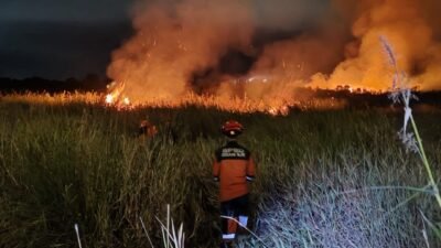 Tim Gabungan berjibaku memadamkan api yang membakar lahan seluas 10 hektar di Kabupaten Ogan Ilir, Sumatra Selatan pada Selasa (7/4). (Dok. BPBD Kabupaten Ogan Ilir.