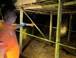 Pamit Berburu, Pria di Sekadau Ditemukan Tewas Gantung Diri di Bekas Kandang Ayam