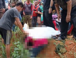 Geger Penemuan Mayat di Anjongan, Lansia Pencari Berondol Sawit Tewas Usai Dua Hari Hilang