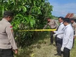Warga Geger, Pria 77 Tahun Ditemukan Tewas di Tanggul Tambak Ikan Pemangkat Sambas