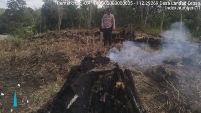 Personel Polsek Menukung saat melakukan pengecekan langsung atau ground check di lokasi lahan bekas terbakar untuk memastikan titik api telah benar-benar padam.