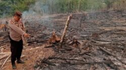 Aparat Kepolisian Sektor Toba saat meninjau langsung lahan milik warga di Desa Teraju menyusul munculnya deteksi titik panas dari pantauan satelit.