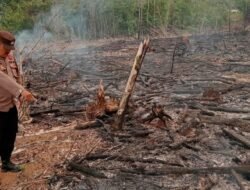 Pantauan Satelit Deteksi Titik Hotspot di Sanggau, Polsek Toba Pastikan Api Lahan Warga Sudah Padam