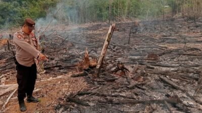 Aparat Kepolisian Sektor Toba saat meninjau langsung lahan milik warga di Desa Teraju menyusul munculnya deteksi titik panas dari pantauan satelit.