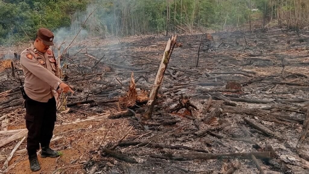 Aparat Kepolisian Sektor Toba saat meninjau langsung lahan milik warga di Desa Teraju menyusul munculnya deteksi titik panas dari pantauan satelit.