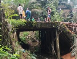 Akses Sempat Lumpuh, Warga Patungan Lakukan Perbaikan Jembatan Melobok di Sanggau