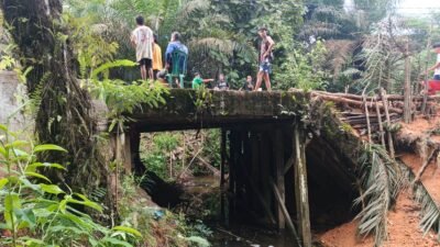 Warga melakukan perbaikan Jembatan Melobok di Sanggau secara swadaya. Jembatan darurat ini dibuat usai putus diterjang curah hujan tinggi.