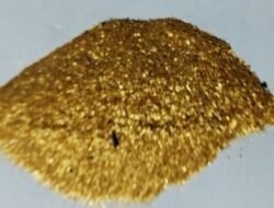 Periksa Saksi ESDM, Kejati Kalbar Juga Menyasar Mafia Emas Ilegal Kalbar