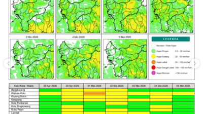 Peta prakiraan potensi hujan harian di wilayah Provinsi Kalimantan Barat periode 29 April hingga 5 Mei 2026. (Dok. BMKG Kalbar)