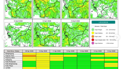 Peta prakiraan potensi hujan harian di wilayah Kalimantan Barat periode 9 hingga 15 April 2026