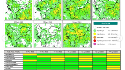 Peta prakiraan potensi hujan harian di wilayah Kalimantan Barat periode 8 hingga 14 April 2026